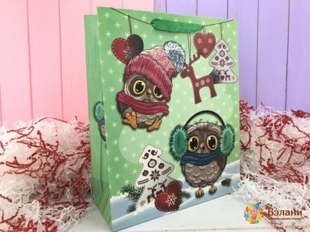 Новогодний пакет «Snow owls» M