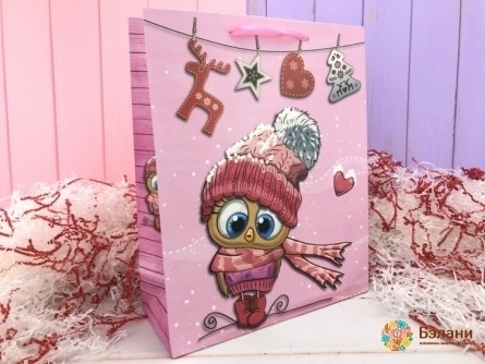 Новогодний пакет «Snow owls» M