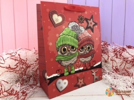 Новогодний пакет «Snow owls» L