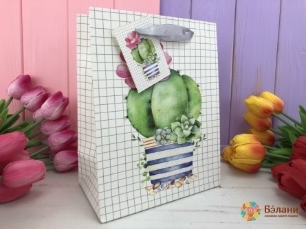 Подарочный пакет "Кактус" S