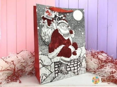 Новогоний пакет "Ded moroz" L