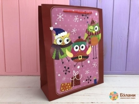 Новогодний пакет "Snowy Owls" S