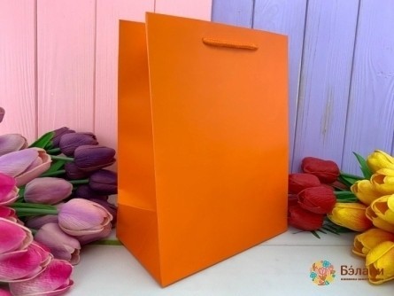 Подарочный пакет "One color" оранж XS