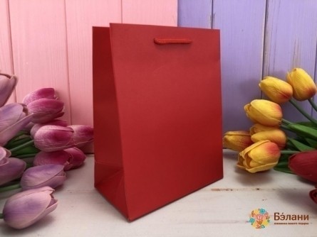 Подарочный пакет "One color" красный XS