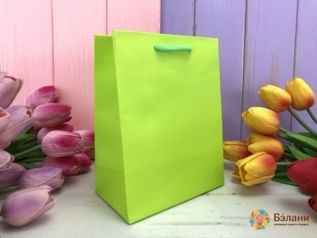Подарочный пакет "One color" салатовый XS
