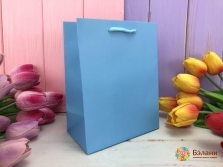 Подарочный пакет "One color" голубой S