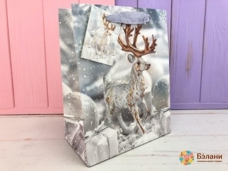 Новогодний пакет "Snow legends" M