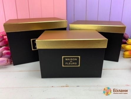 Прямоугольная коробка "Gold maison" черная