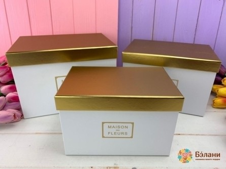 Прямоугольная коробка "Gold maison" белая