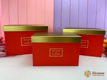 Прямоугольная коробка "Gold maison" красная