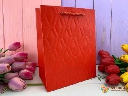 Подарочный пакет "Cube" красный L