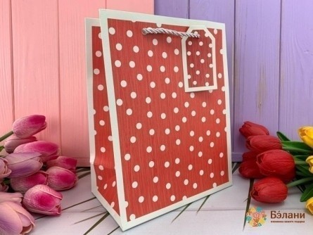 Подарочный пакет "Beauty dots" красный S