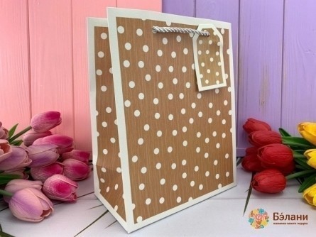 Подарочный пакет "Beauty dots" шоколад S