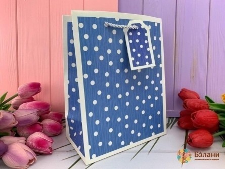 Подарочный пакет "Beauty dots" синий M