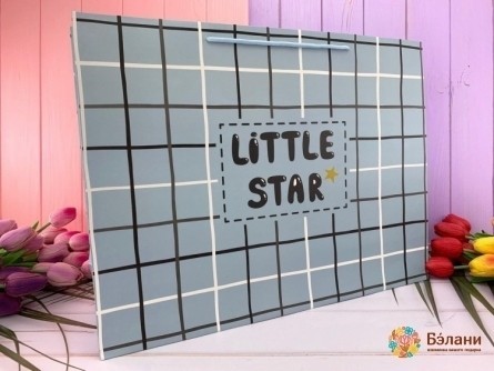 Подарочный пакет "Little Star" клетка XL