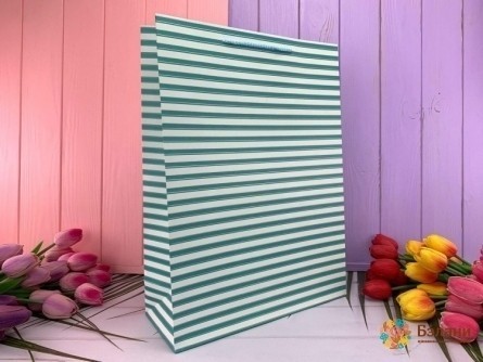 Подарочный пакет "Simple Lines" голубой M