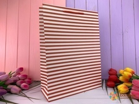 Подарочный пакет "Simple Lines" красный M