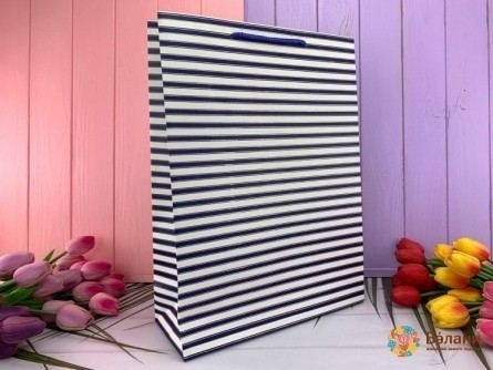 Подарочный пакет "Simple Lines" синий M