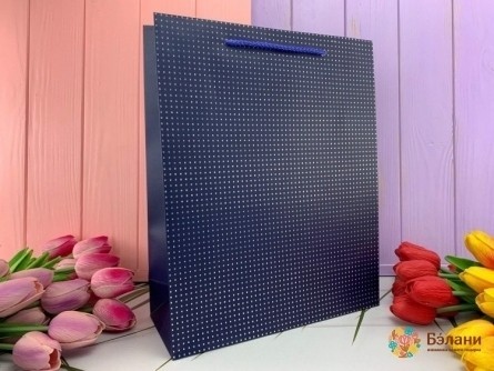 Подарочный пакет "Dots" синий L