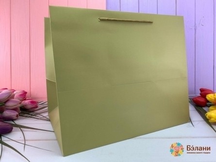 Подарочный пакет "Mono" золотой XL