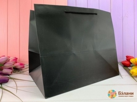 Подарочный пакет "Mono" черный XL