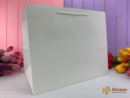 Подарочный пакет "Mono" белый XL