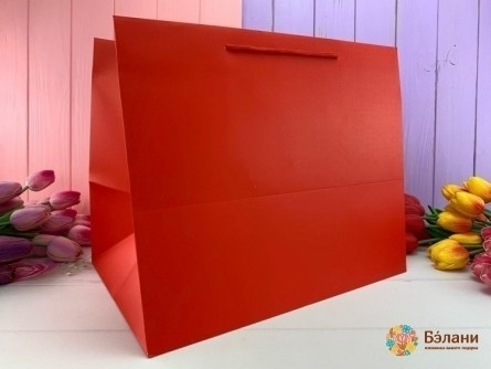 Подарочный пакет "Mono" красный XL