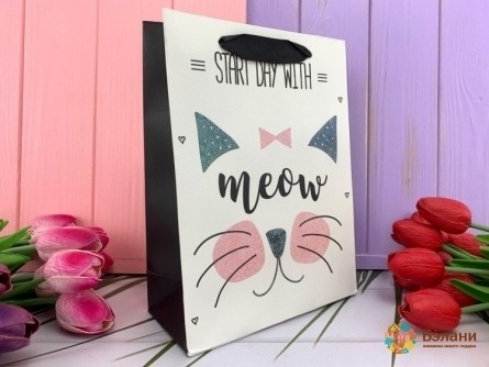 Подарочный пакет "Meow" start S