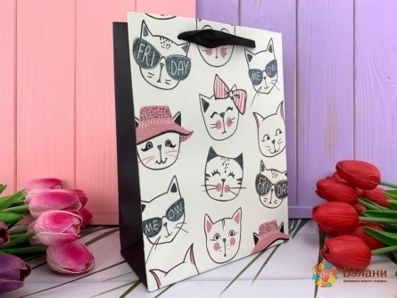 Подарочный пакет "Meow" friday S