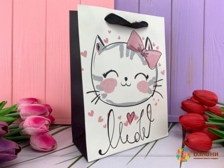 Подарочный пакет "Meow" meow M
