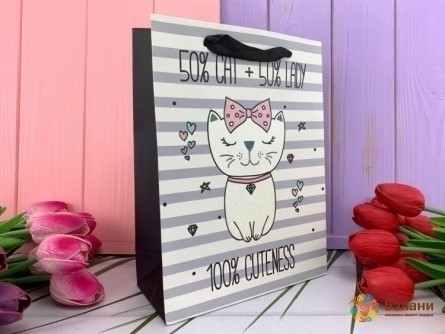 Подарочный пакет "Meow" cute M