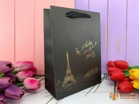 Подарочный пакет "Paris" черный M
