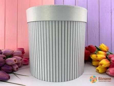 Круглая коробка "Color lines" серая L