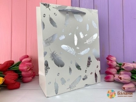 Подарочный пакет "Bright Feather" серебро M