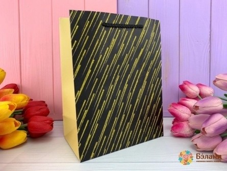 Подарочный пакет "Gold brush" звездопад M