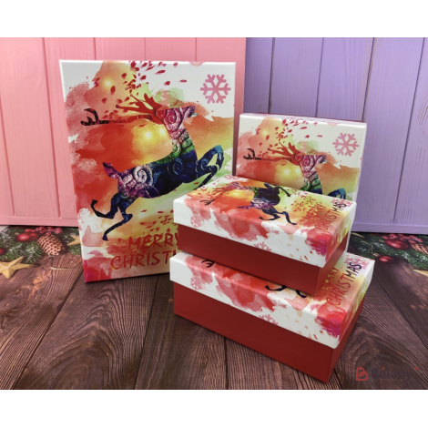 Новогодняя коробка "Merry Christmas" набор из 4х