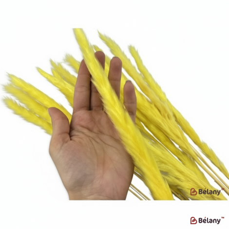 Сухоцветы "Пампасная трава" желтые
