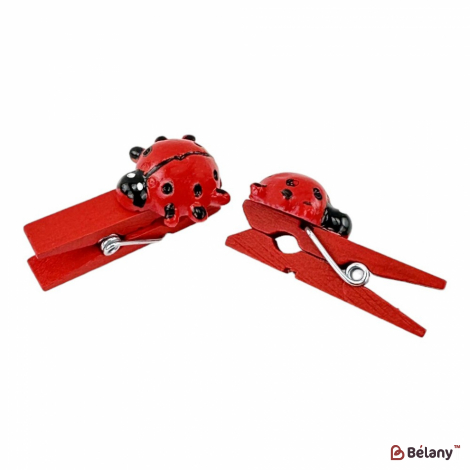 Прищепки "Божья коровка" 48шт.