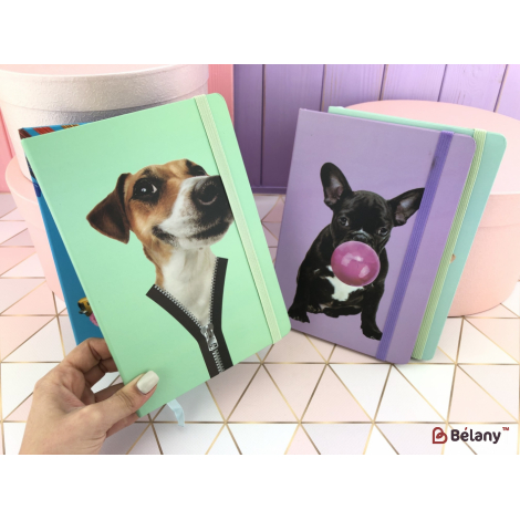 Блокнот "Funny animals" (96 страниц) A6