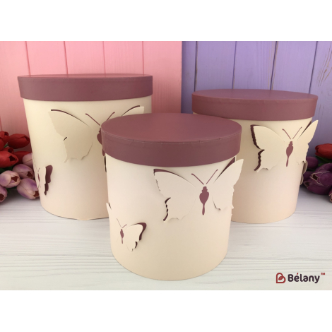 Коробка для цветов "Butterfly" бежевая