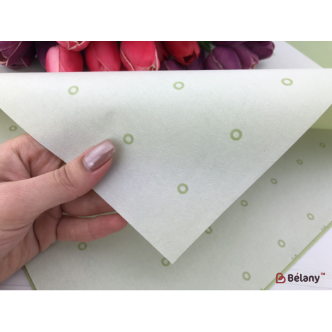 Калька для цветов "Areol" #081