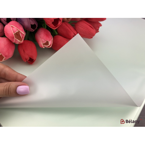 Калька для квітів "Pearl" #085