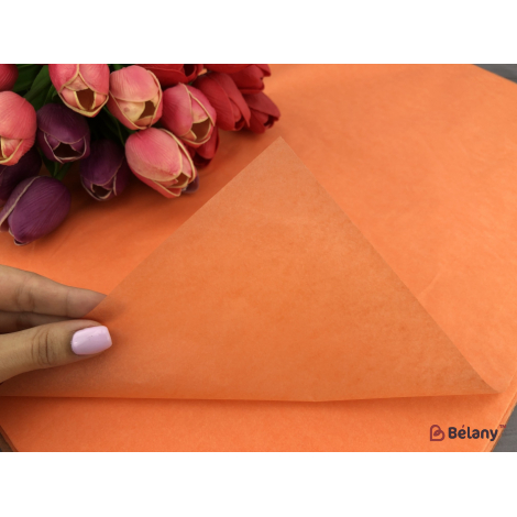 Бумага "Тишью" #2304