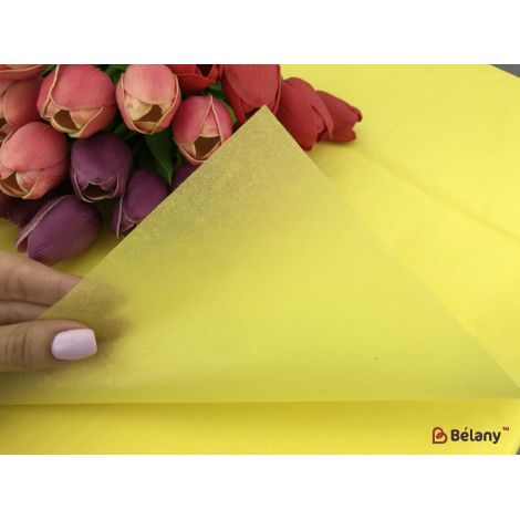 Бумага "Тишью" #3101