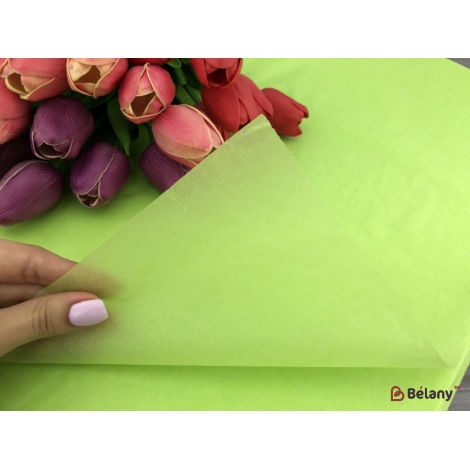 Бумага "Тишью" #4105