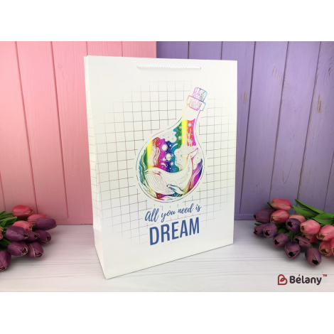 Подарочные пакеты "All you need is dream" L