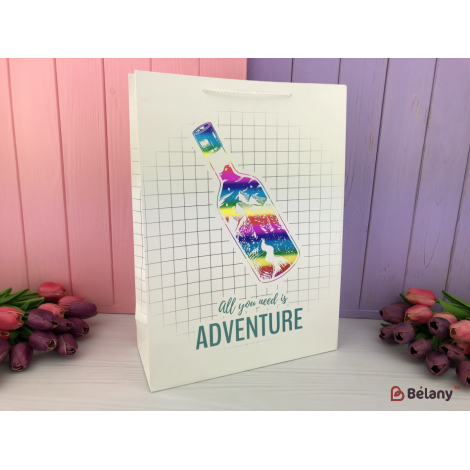 Подарочные пакеты "All you need is adventure" L