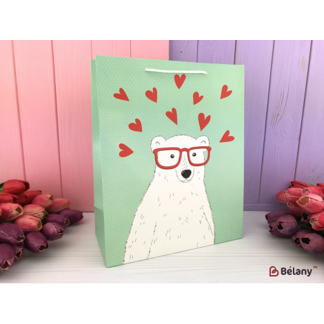 Подарочные пакеты "Loving bear" сердечки M