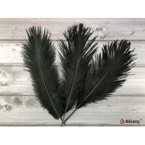 Перья страуса 40-45см черные