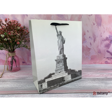 Подарочный пакет "Famous city" M #3